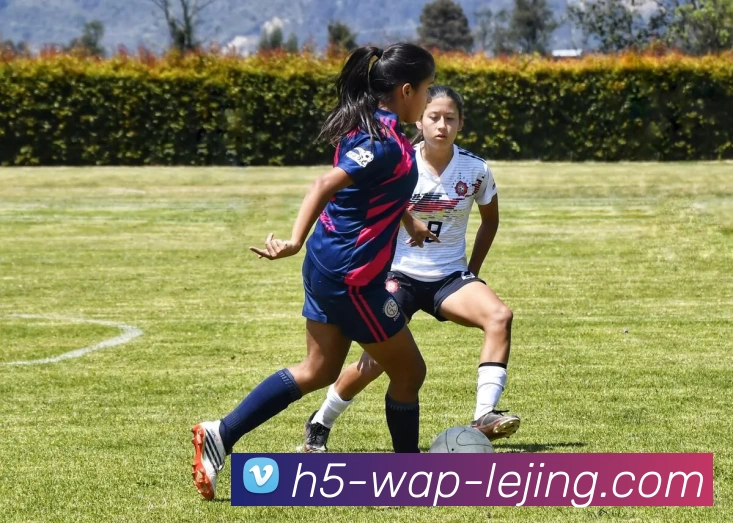 乐竞体育发展历程